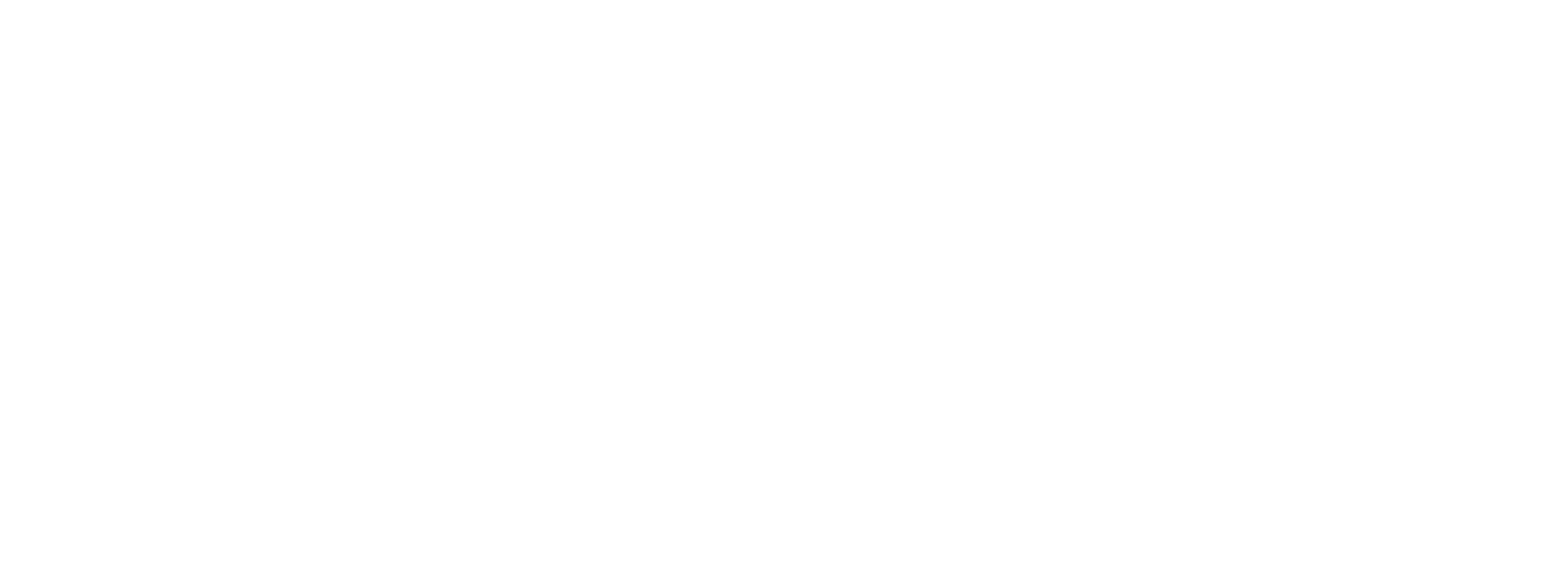 Nissan-white.webp