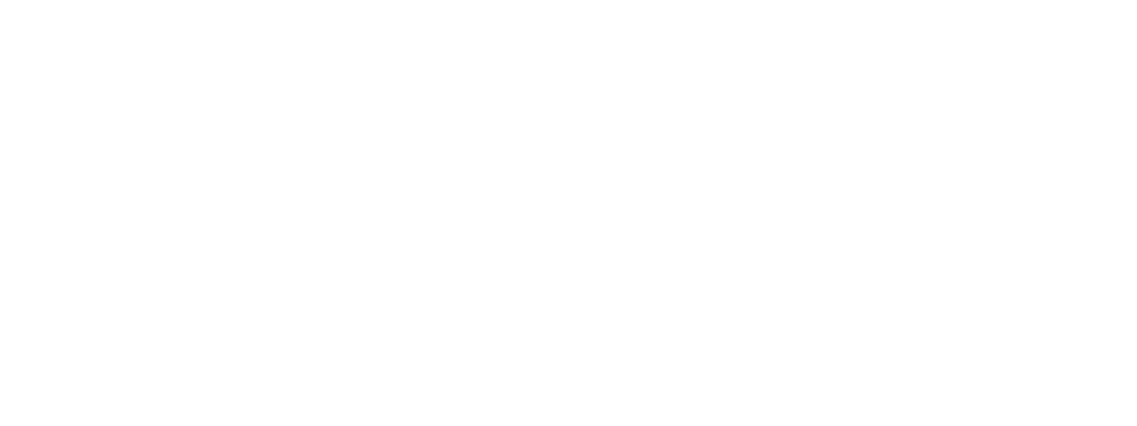 Volkswagen-white.png